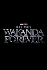 Chiến Binh Báo Đen: Wakanda Bất Diệt